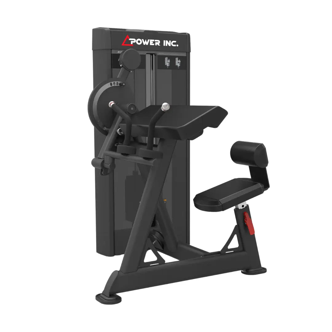 Biceps Curl/ Triceps Extension