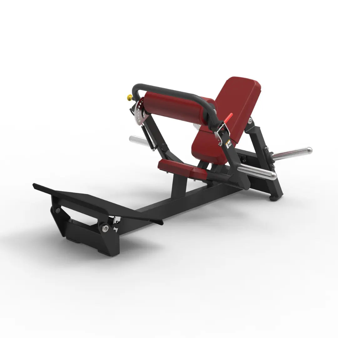 Hip Thrust